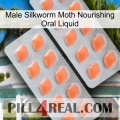 Male Silkworm Moth Nourishing Oral Liquid 27